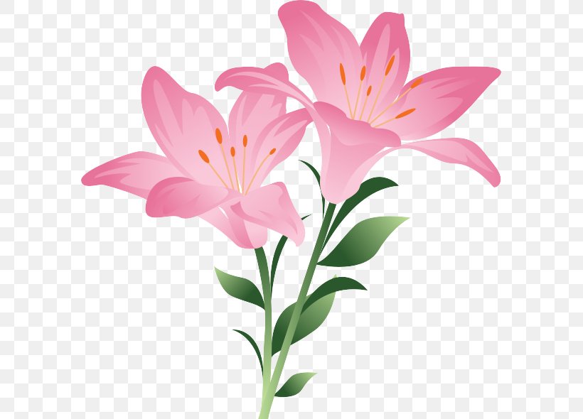 Flower Clip Art Easter Lily Floral Design, PNG, 591x590px, Flower, Alstroemeriaceae, Botany, Cut Flowers, Daylily Download Free