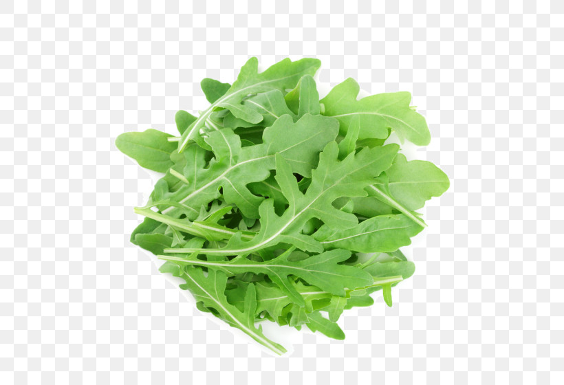 Leaf Plant Leaf Vegetable Vegetable Arugula, PNG, 633x560px, Leaf, Arugula, Flower, Food, Grass Download Free