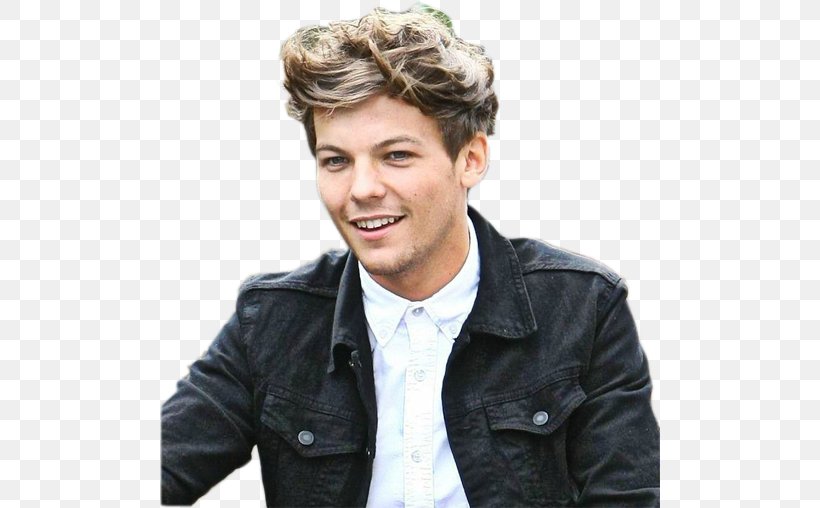 Louis Tomlinson Take Me Home Tour The X Factor One Direction, PNG, 500x508px, Watercolor, Cartoon, Flower, Frame, Heart Download Free
