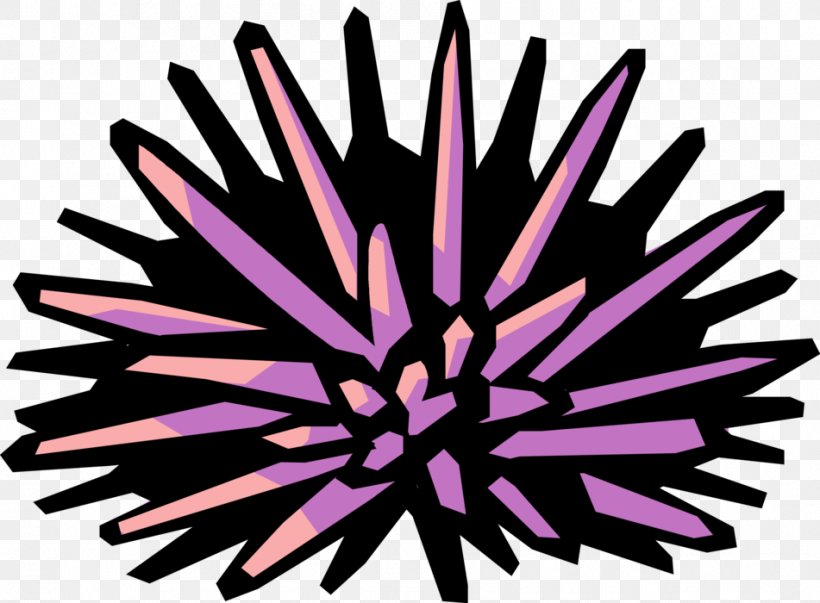 Clip Art Sea Urchin Illustration Openclipart, PNG, 951x700px, Sea Urchin, Flower, Petal, Pink, Purple Download Free