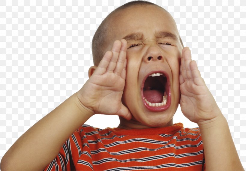 Screaming Happiness Investment Foreign Exchange Market Finance, PNG, 2001x1392px, Screaming, Aggression, Child, Ear, Emotion Download Free
