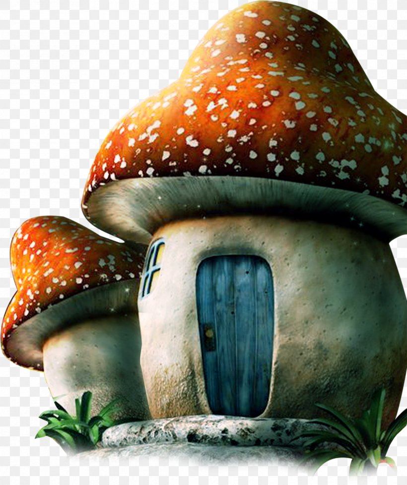 Mushroom Euclidean Vector, PNG, 1243x1484px, Mushroom, Drawing, Fungus, Gratis, Organism Download Free