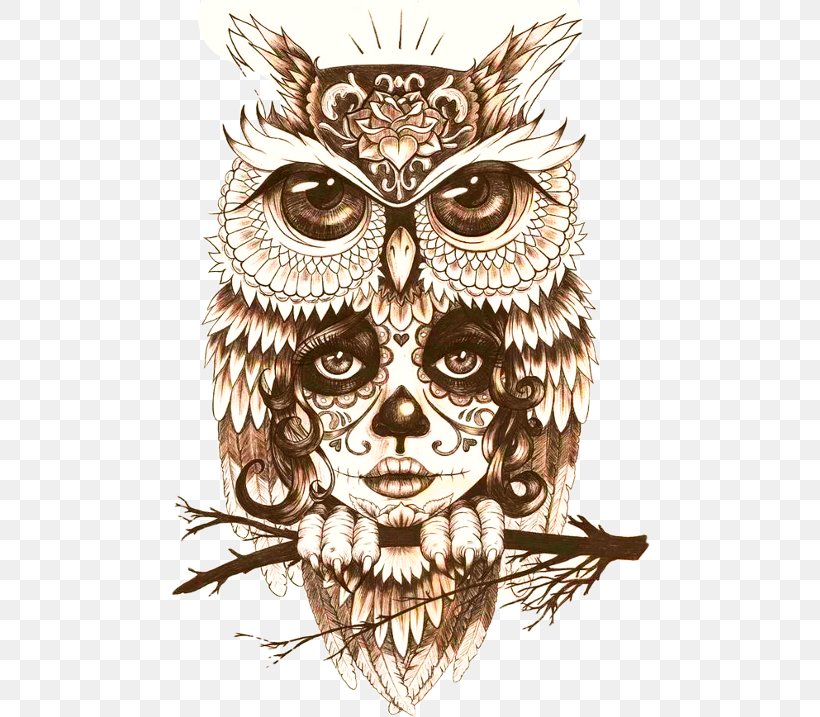 Owl Tattoo Drawing Body Art, PNG, 480x717px, Owl, Art, Bird, Bird Of Prey, Body Art Download Free