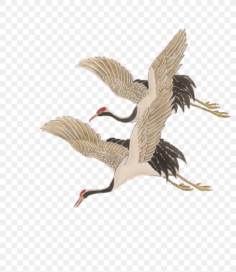 Red-crowned Crane Bird Blue Crane, PNG, 803x942px, Crane, Beak, Bird, Black Crowned Crane, Blue Crane Download Free