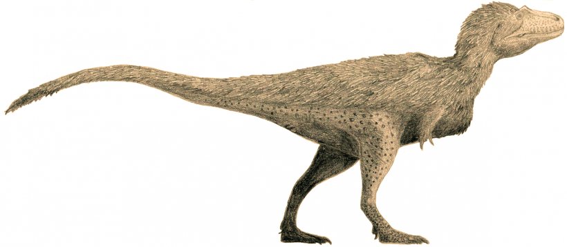 Tyrannosaurus Tyrannosauridae Lythronax Daspletosaurus Gorgosaurus, PNG, 2376x1038px, Tyrannosaurus, Animal Figure, Beak, Bipedalism, Coelurosauria Download Free