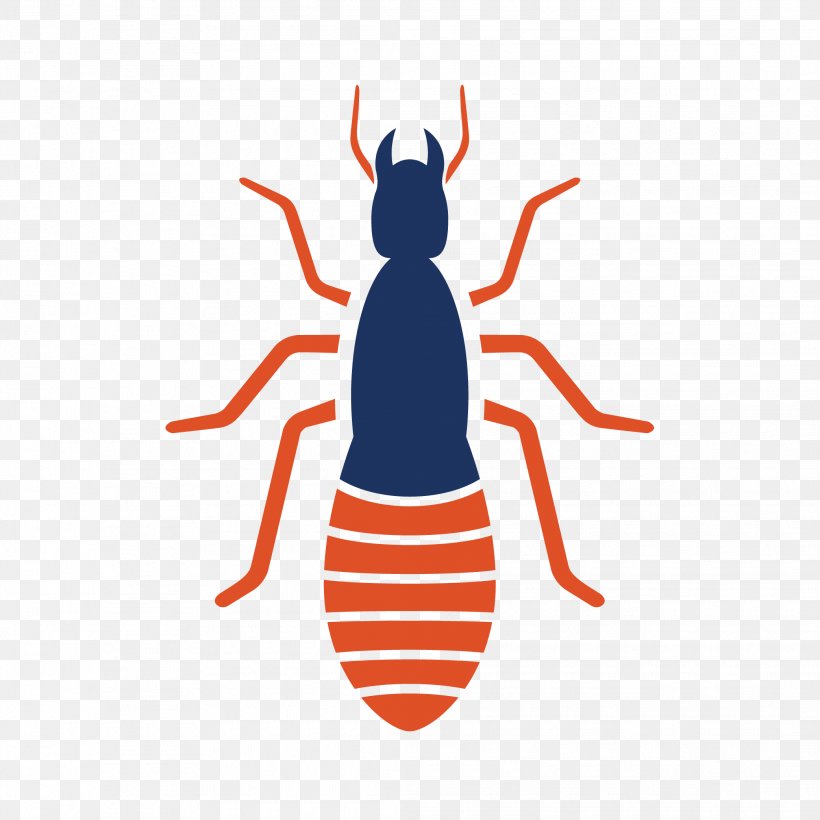 Varied Carpet Beetle Pest Control Invertebrate Flea, PNG, 2083x2083px, Varied Carpet Beetle, Animal, Artwork, Beetle, Carpet Download Free