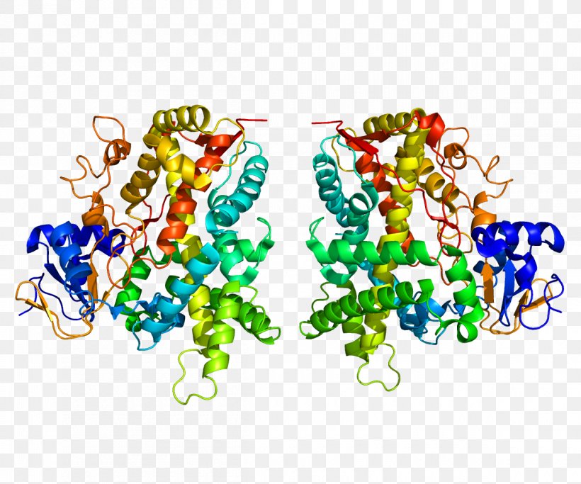 CYP2E1 GeneCards Cytochrome P450 CYP2C19, PNG, 1200x1000px, Gene, Art, Cytochrome, Cytochrome P450, Enzyme Download Free