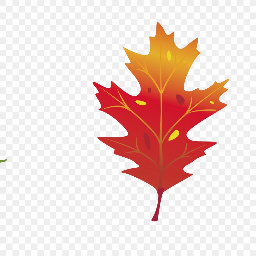 Maple Leaf Vector Graphics Autumn Leaf Color Clip Art, PNG, 2107x2107px, Maple Leaf, Autumn, Autumn Leaf Color, Coreldraw, Leaf Download Free