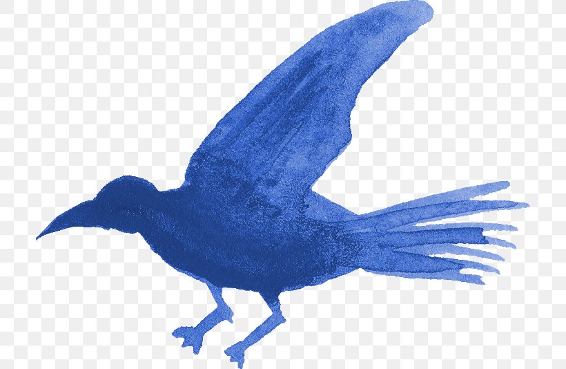 Bird Image Silhouette Photography, PNG, 716x534px, Bird, Animal, Animal Figure, Beak, Cobalt Blue Download Free