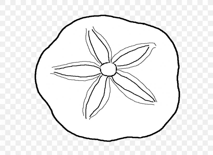 Sand Dollar Seashell Coloring Book Clip Art, PNG, 1023x744px, Sand Dollar, Area, Artwork, Beach, Black And White Download Free