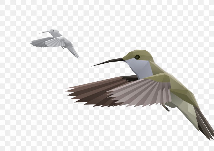 Crane Paper Origami, PNG, 1000x707px, Crane, Beak, Bird, Charadriiformes, Ducks Geese And Swans Download Free