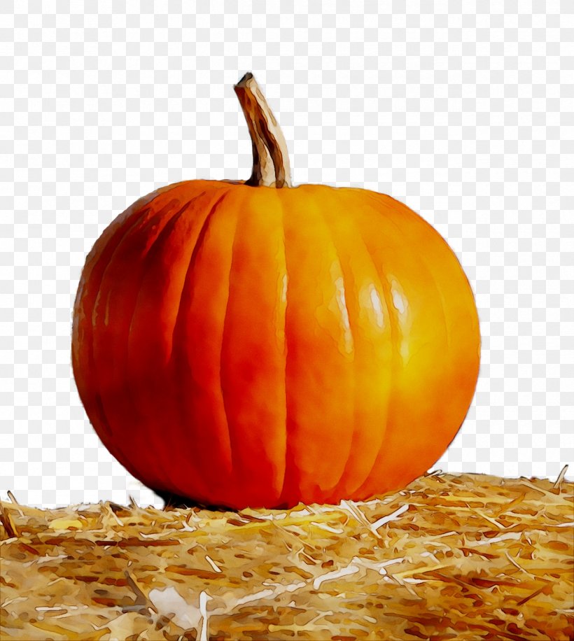 Jack-o'-lantern Gourd Pumpkin Winter Squash, PNG, 1270x1420px, Jackolantern, Calabaza, Carving, Commodity, Cucurbita Download Free