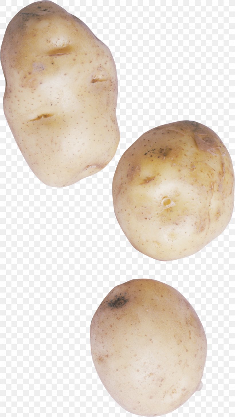 Russet Burbank Potato Yukon Gold Potato Tuber Root Vegetables, PNG, 1743x3091px, Russet Burbank Potato, Food, Game, Gunny Sack, Potato Download Free