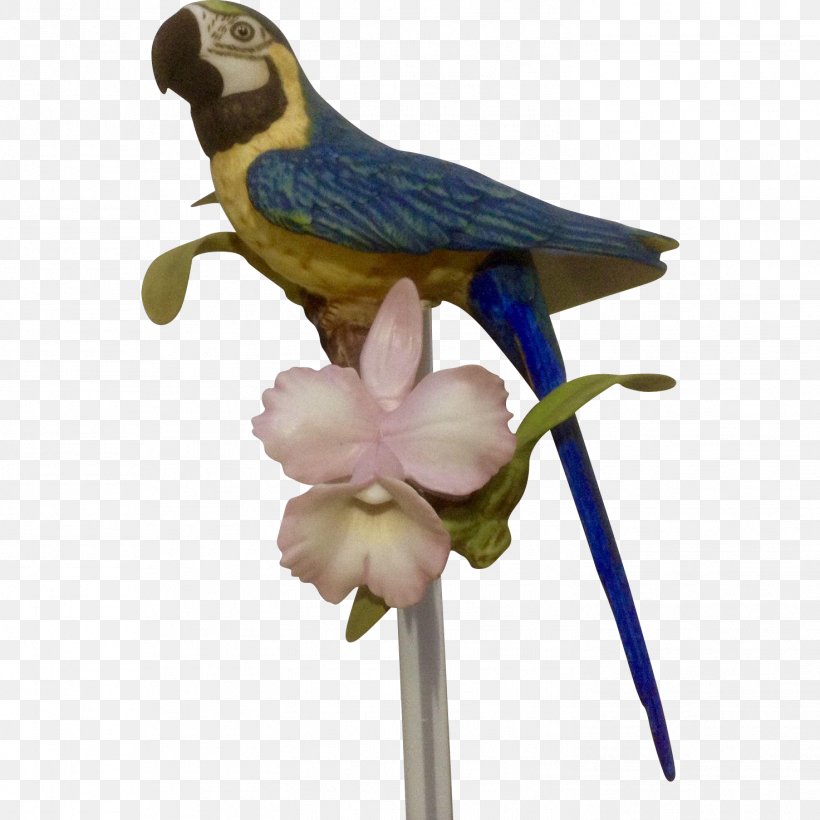 Bird Hyacinth Macaw Parrot The Franklin Mint, PNG, 1473x1473px, Bird, Beak, Bird Supply, Common Pet Parakeet, Danbury Mint Download Free