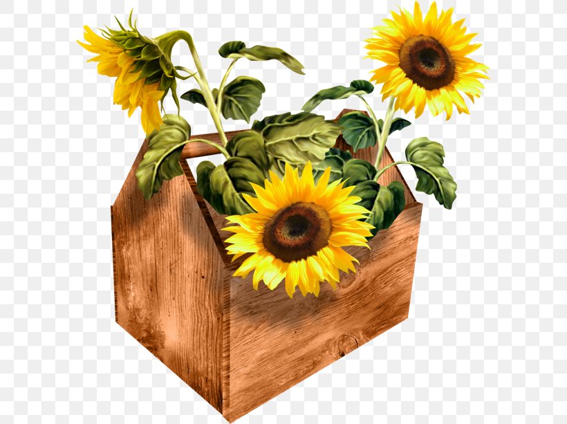 Common Sunflower PhotoScape, PNG, 600x613px, Common Sunflower, Blog, Cut Flowers, Daisy Family, Floral Design Download Free