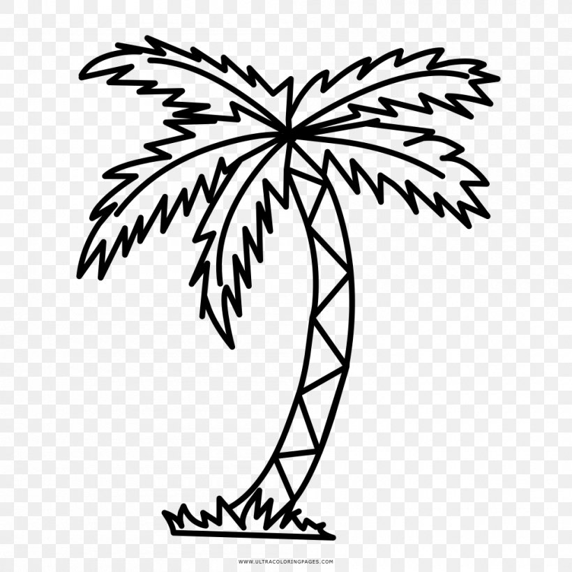 Drawing Branch Arecaceae Tree Clip Art, PNG, 1000x1000px, Drawing, Area, Arecaceae, Artwork, Ausmalbild Download Free