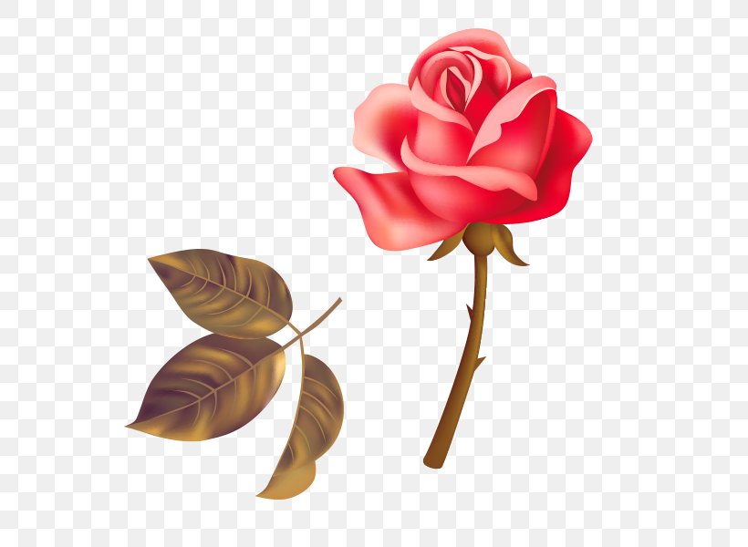 Garden Roses Beach Rose Red, PNG, 600x600px, Garden Roses, Beach Rose, Cut Flowers, Floral Design, Flower Download Free