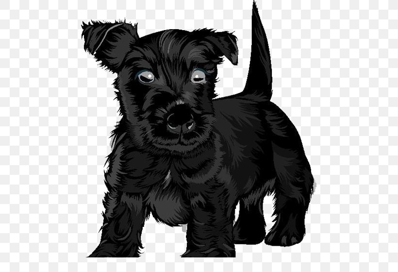 Scottish Terrier Black Russian Terrier Puppy Clip Art, PNG, 485x560px, Scottish Terrier, Affenpinscher, Black Dog, Black Russian Terrier, Cairn Terrier Download Free