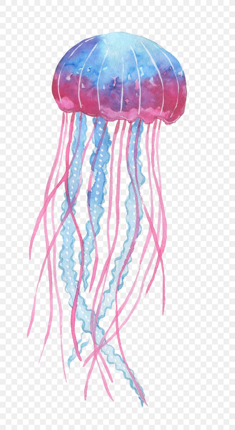 Box Jellyfish Invertebrate Deep Sea Creature, PNG, 700x1498px, Jellyfish, Aquatic Animal, Blue Jellyfish, Box Jellyfish, Cnidaria Download Free