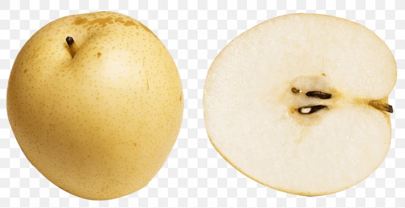 Vector Graphics Asian Pear Psd, PNG, 850x437px, Asian Pear, Food, Fruit, Pear, Plant Download Free