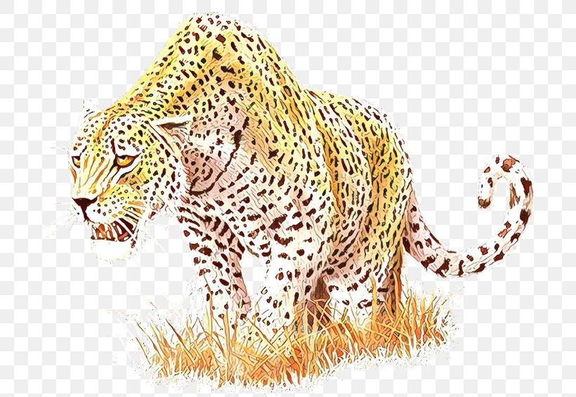 Snow Leopard Cheetah Tiger Ocelot, PNG, 730x565px, Leopard, African Leopard, Animal, Animal Figure, Big Cats Download Free