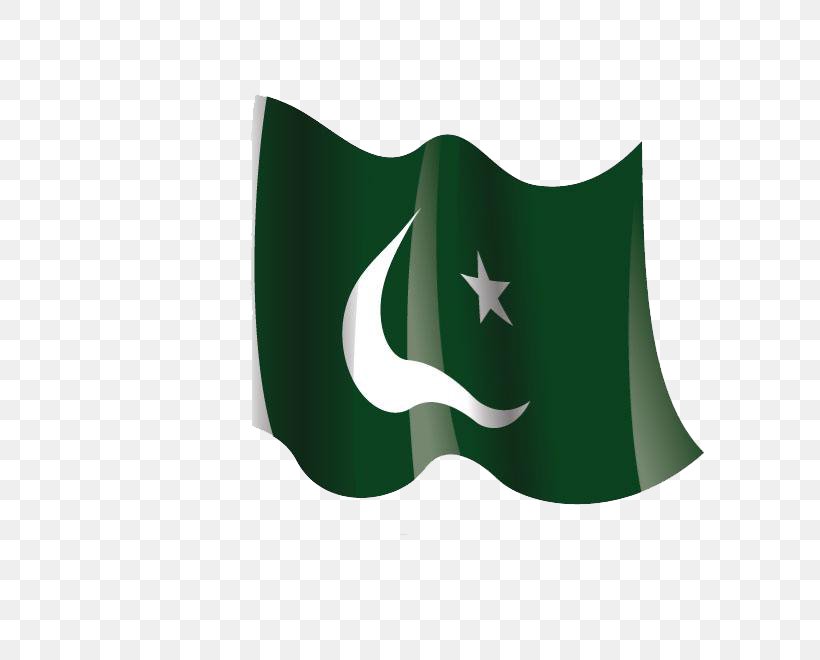 Flag Of Pakistan Image Vector Graphics, PNG, 660x660px, Pakistan, Flag, Flag Of Pakistan, Green, Pakistan Air Force Download Free