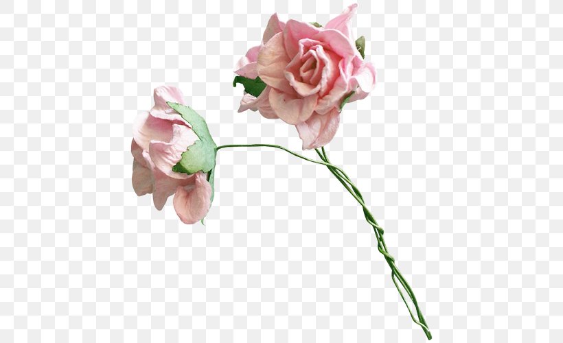 Garden Roses Floral Design Flower Centifolia Roses, PNG, 500x500px, Garden Roses, Artificial Flower, Bud, Centifolia Roses, Cut Flowers Download Free