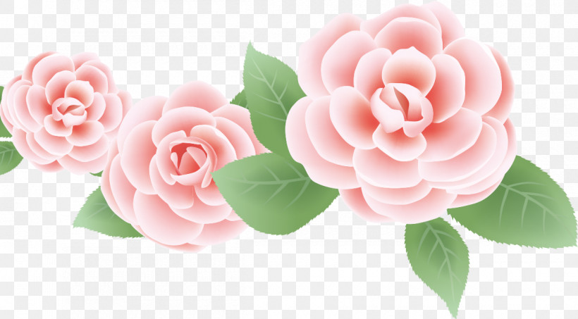 Three Flowers Three Roses Valentines Day, PNG, 1200x664px, Three Flowers, Camellia, Flower, Garden Roses, Japanese Camellia Download Free