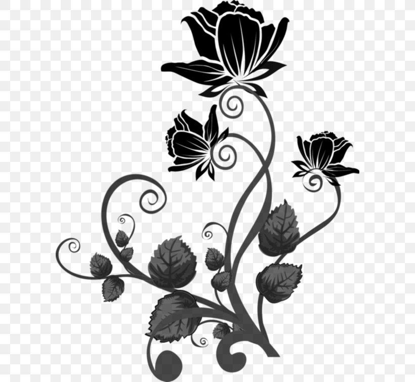 Photography Flower Ornament Clip Art, PNG, 600x755px, Photography, Ansichtkaart, Black And White, Branch, Flora Download Free