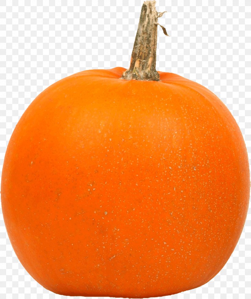 Calabaza Big Pumpkin Red Kuri Squash Jack-o'-lantern, PNG, 1120x1336px, Calabaza, Big Pumpkin, Clementine, Cucurbita, Cucurbita Maxima Download Free