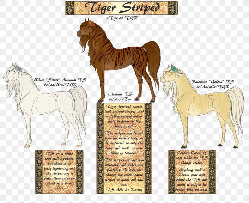 Mane Mustang American Quarter Horse Stallion Pony, PNG, 1280x1042px, Mane, American Paint Horse, American Quarter Horse, Fauna, Foal Download Free
