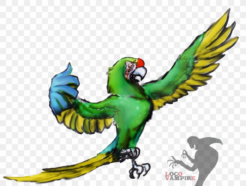 Parrot Military Macaw Bird Parakeet, PNG, 1291x976px, Parrot, Animal, Beak, Bird, Common Pet Parakeet Download Free