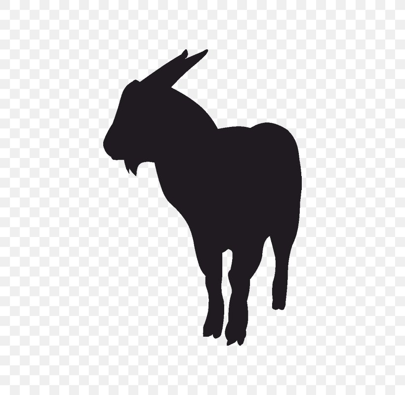 Pygmy Goat LandScapeGoats LLC Sheep Black Bengal Goat, PNG, 800x800px, Pygmy Goat, Black, Black And White, Black Bengal Goat, Bull Download Free