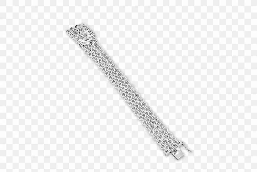 Silver Body Jewellery Chain, PNG, 1520x1020px, Silver, Body Jewellery, Body Jewelry, Chain, Fashion Accessory Download Free