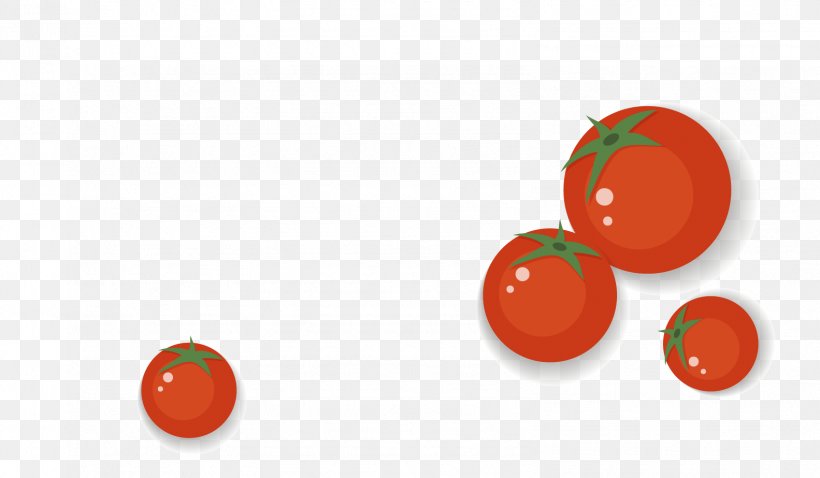 Tomato Font, PNG, 1583x923px, Tomato, Food, Fruit, Orange, Red Download Free