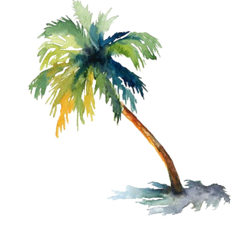 Watercolor Painting Arecaceae Drawing Tree, PNG, 1024x1024px, Watercolor Painting, Arecaceae, Arecales, Art, Borassus Flabellifer Download Free