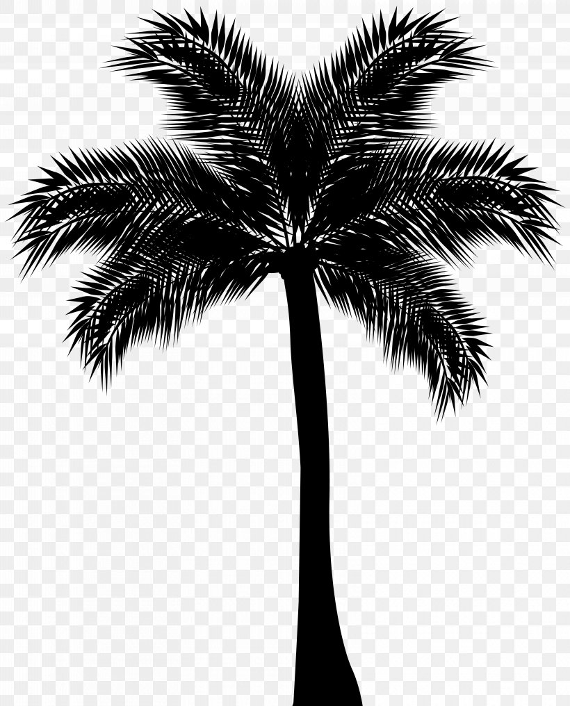 Asian Palmyra Palm Arecaceae Silhouette Clip Art, PNG, 6455x8000px ...
