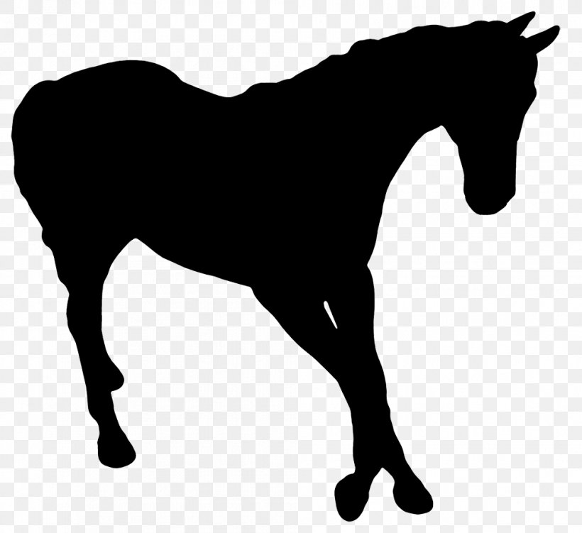 Horse Silhouette Photography, PNG, 1004x920px, Horse, Black And White, Bridle, Colt, English Riding Download Free