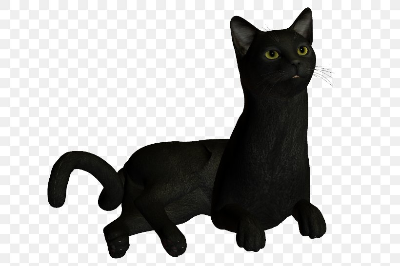 Korat Black Cat Whiskers Domestic Short-haired Cat, PNG, 650x546px, Korat, Animal, Animal Figure, Asian, Black Download Free