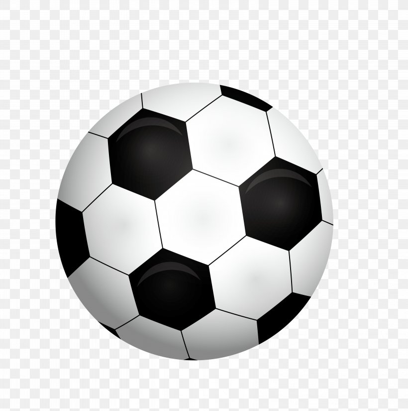 Photography Euclidean Vector Icon, PNG, 6481x6528px, Photography, Ball, Black And White, Button, Computer Graphics Download Free