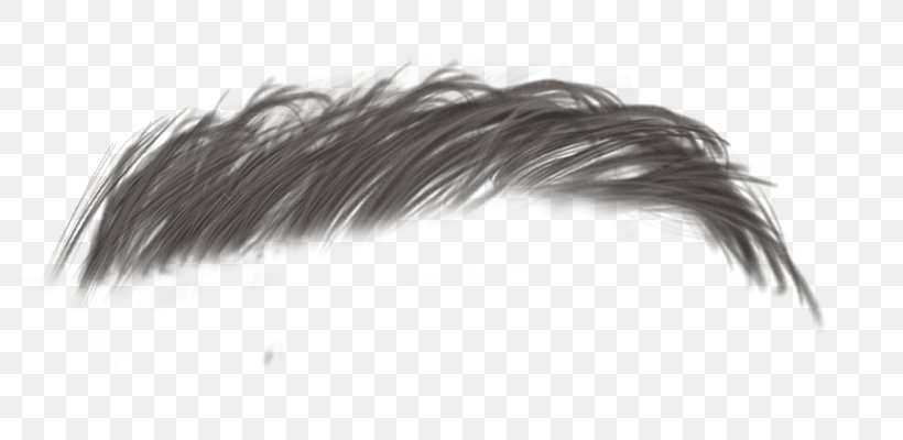 Animaatio Image Feather Wig Blog, PNG, 800x400px, Animaatio, Age Of Enlightenment, Author, Black, Black And White Download Free