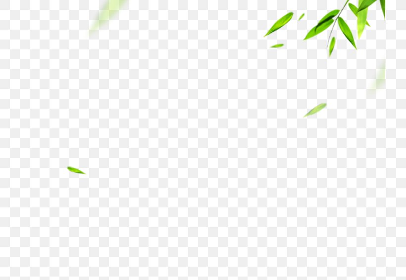 Download Icon, PNG, 737x567px, Bamboo, Area, Dragon Boat, Dragon Boat Festival, Grass Download Free