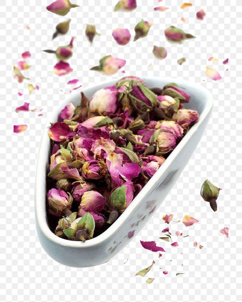 Flowering Tea Beach Rose Chrysanthemum Tea, PNG, 728x1024px, Tea, Beach Rose, Bud, Chrysanthemum Tea, Cultivar Download Free