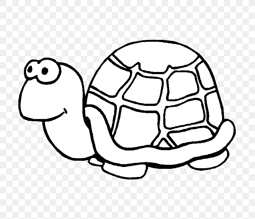 Sea Turtle Drawing Teenage Mutant Ninja Turtles Painting, PNG, 703x703px, Turtle, Animal, Area, Black And White, Carapace Download Free
