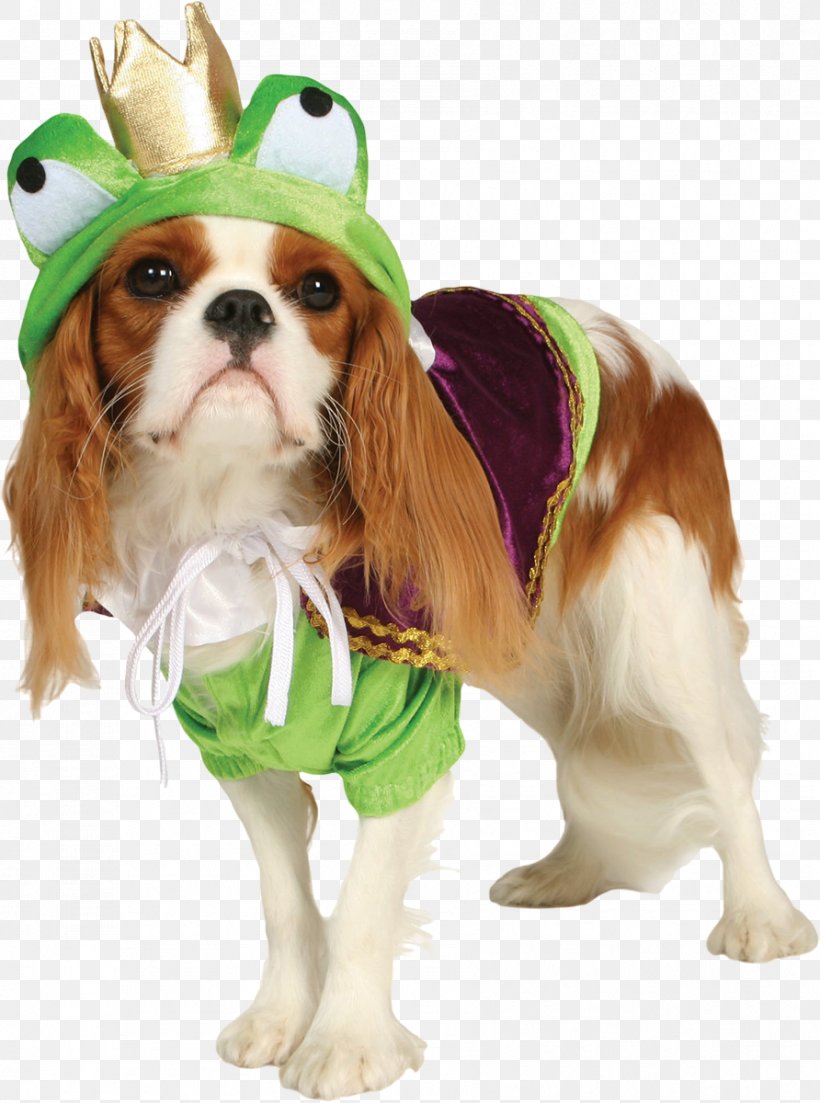 Dog Clothing Cat Pet, PNG, 892x1200px, Dog, Animal, Camisole, Cat, Cavalier King Charles Spaniel Download Free
