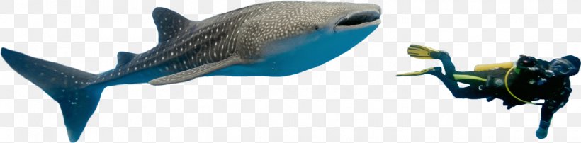 Fish Marine Mammal Beak Microsoft Azure, PNG, 1450x358px, Fish, Animal, Animal Figure, Beak, Mammal Download Free