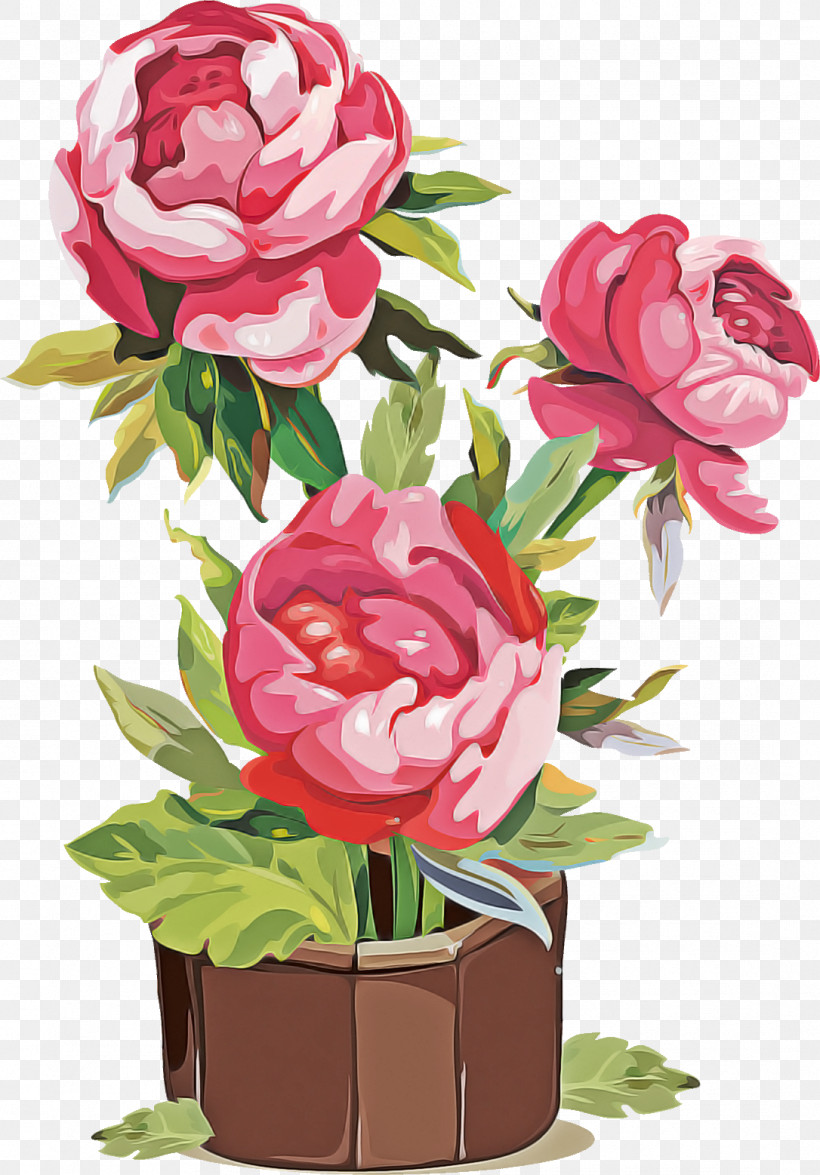 Garden Roses, PNG, 1086x1557px, Drawing Flower, Artificial Flower, Camellia, Chinese Peony, Common Peony Download Free