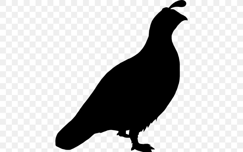 Quail Bird Columbidae, PNG, 512x512px, Quail, Beak, Bird, Black And White, California Quail Download Free