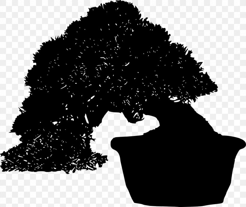 Tree Silhouette Bonsai, PNG, 1185x1000px, Tree, Black, Black And White, Bonsai, Houseplant Download Free