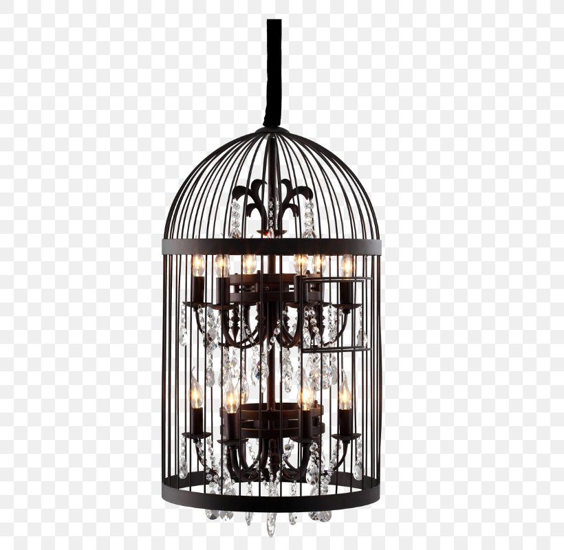 Light Fixture Chandelier Lamp Lighting, PNG, 800x800px, Light, Birdcage, Blacklight, Cage, Ceiling Download Free